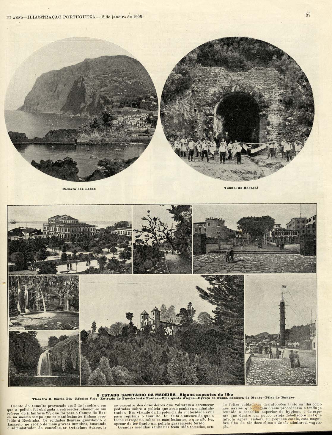 Estado sanitário da Madeira