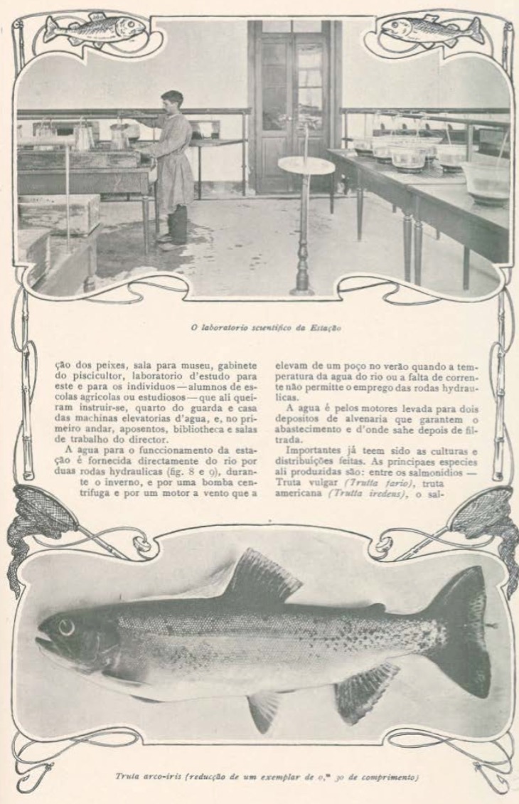 Aquicultura no Rio Ave