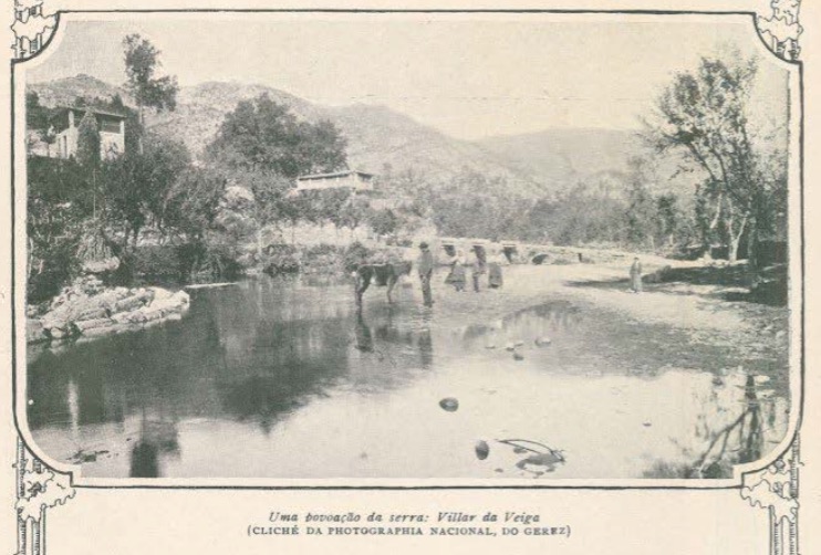 Cabra do Gerês