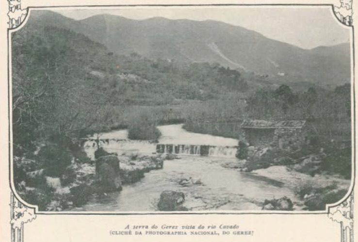 Cabra do Gerês