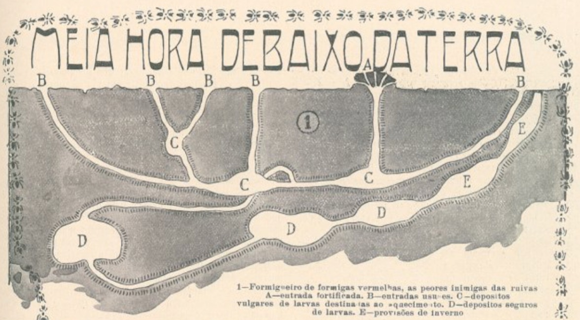 Formigas