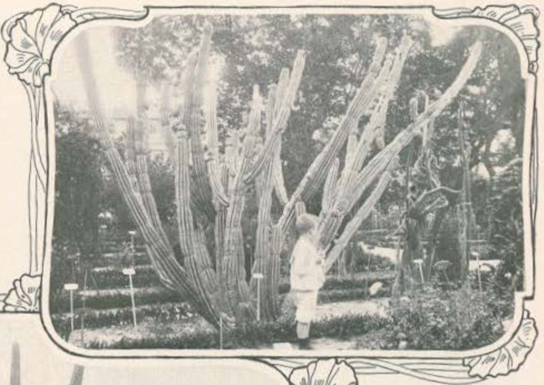 Jardim Botanico de Lisboa