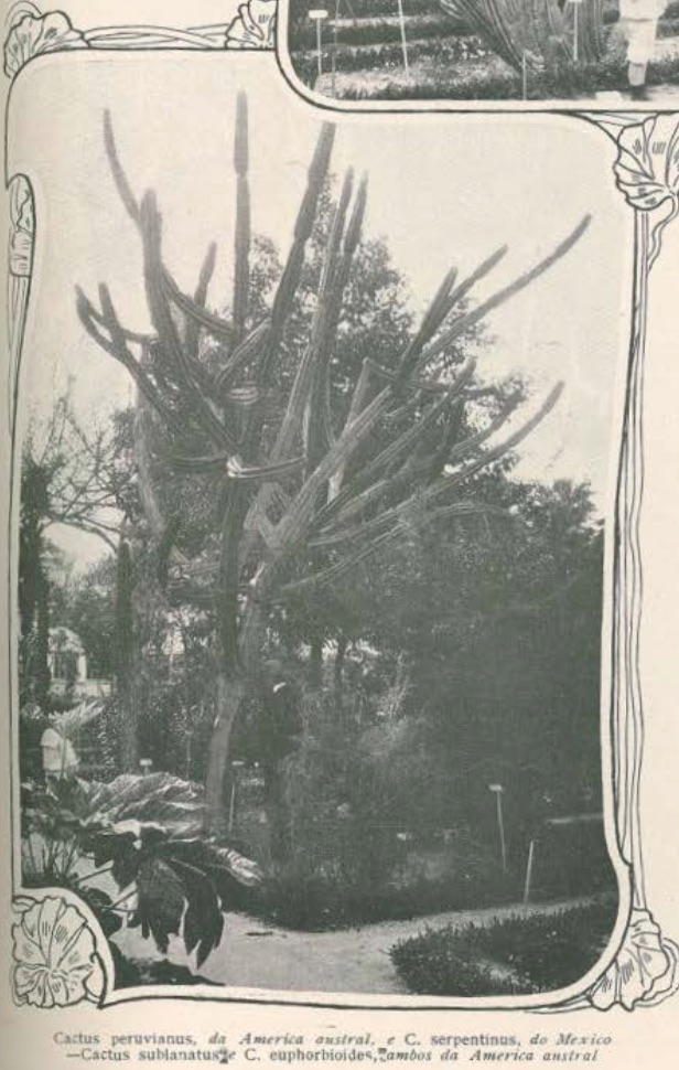 Jardim Botanico de Lisboa