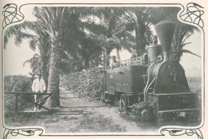Produção de açúcar Produção de Açúcar