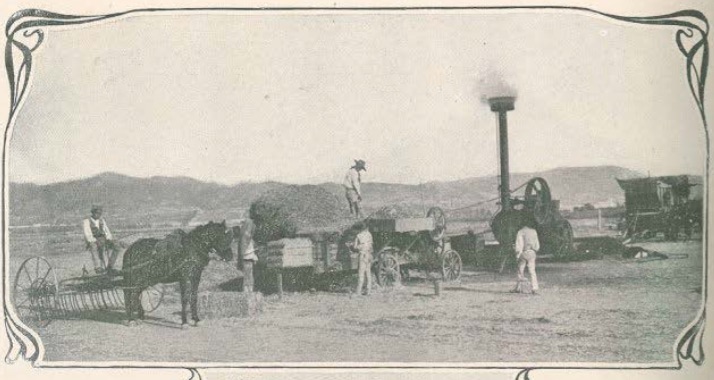 Exploração agrícola de Palha Blanco