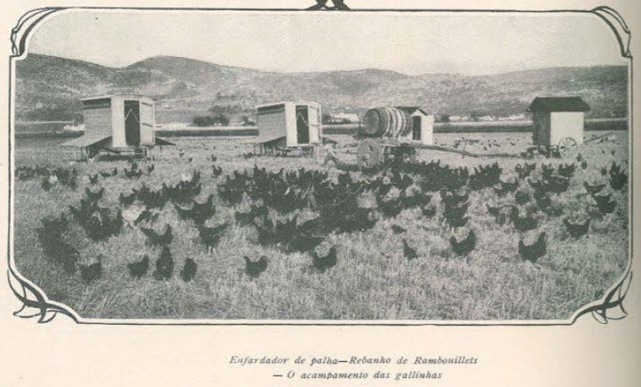 Exploração agrícola de Palha Blanco