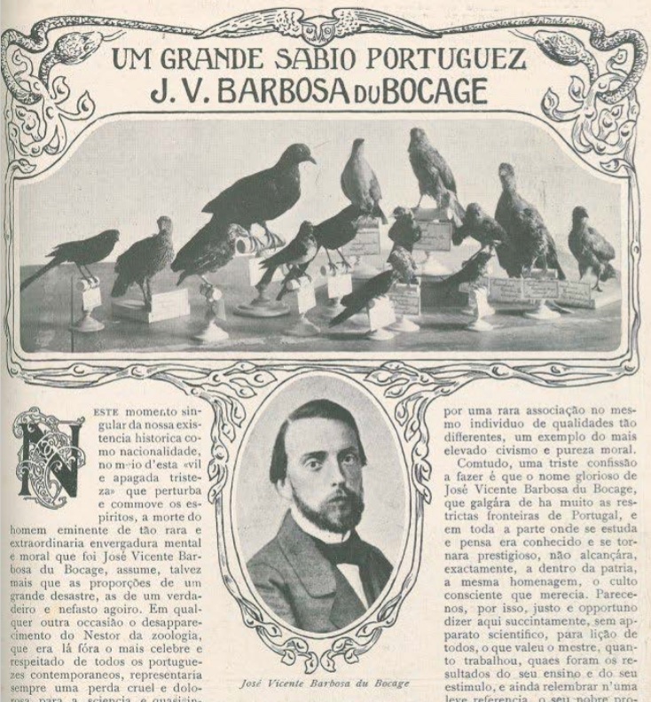 Barbosa du Bocage