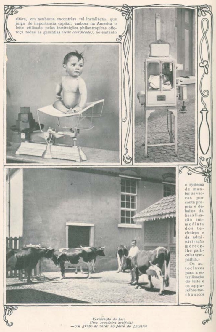 Lactário de Lisboa