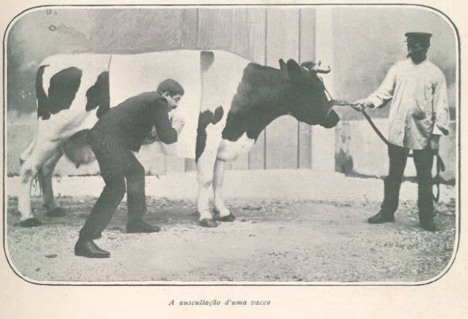 Hospital Veterinário