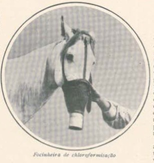 Hospital Veterinário