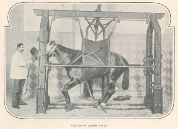 Hospital Veterinário