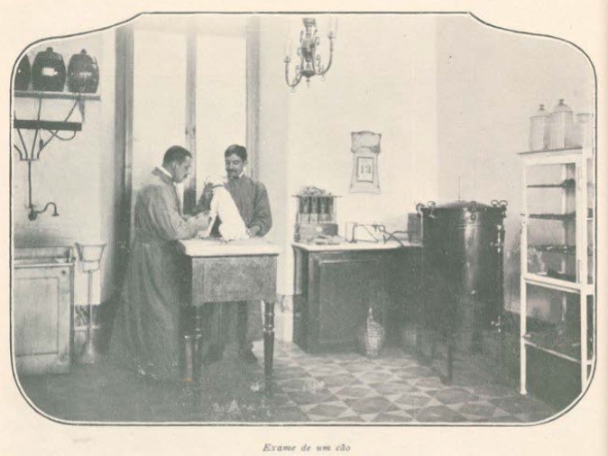 Hospital Veterinário