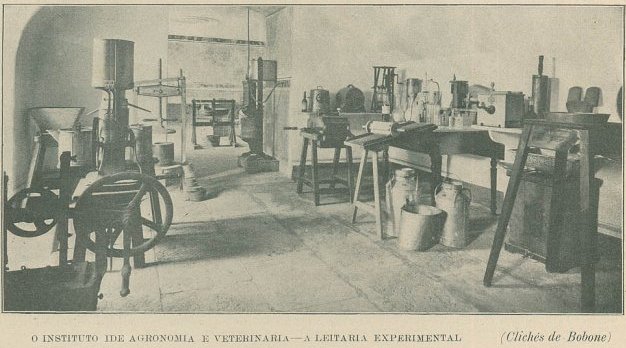 Leitaria Experimental do Instituto de Agronomia